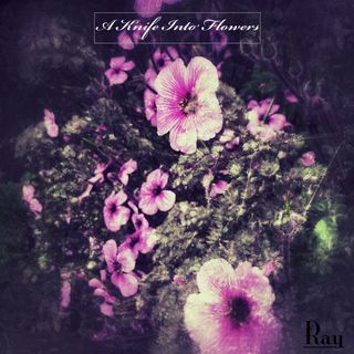 A sea of magenta flowers in a dark background. Title at top center reads A Knife Into Flowers in a white, stylized typeface, surrounded by a gray box.