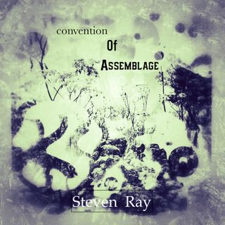 A square, warm tone black and white abstract image. A mid-range photo of Queen Anne's lace in a field. Many plants are partially hidden by other shapes superimposed on them, such as round objects and freeform text. Other light color, indistinct imagery occupies the background. Text near center top in black reads Convention Of Assemblage. Text in center near bottom in white reads Steven Ray.