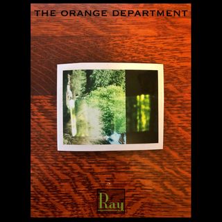 A closeup of a rectangular polaroid photograph lying on a wooden table. The wood is orange. The photo has a white border around it, and is a double exposure. The right third of the image has a black background, and a small area containing various shades of green with indistinct shapes. The left side of the image has an outdoor scene with trees and bushes. Text at the top of the image reads the orange department. At the bottom center is the text Ray. The image has a black border.